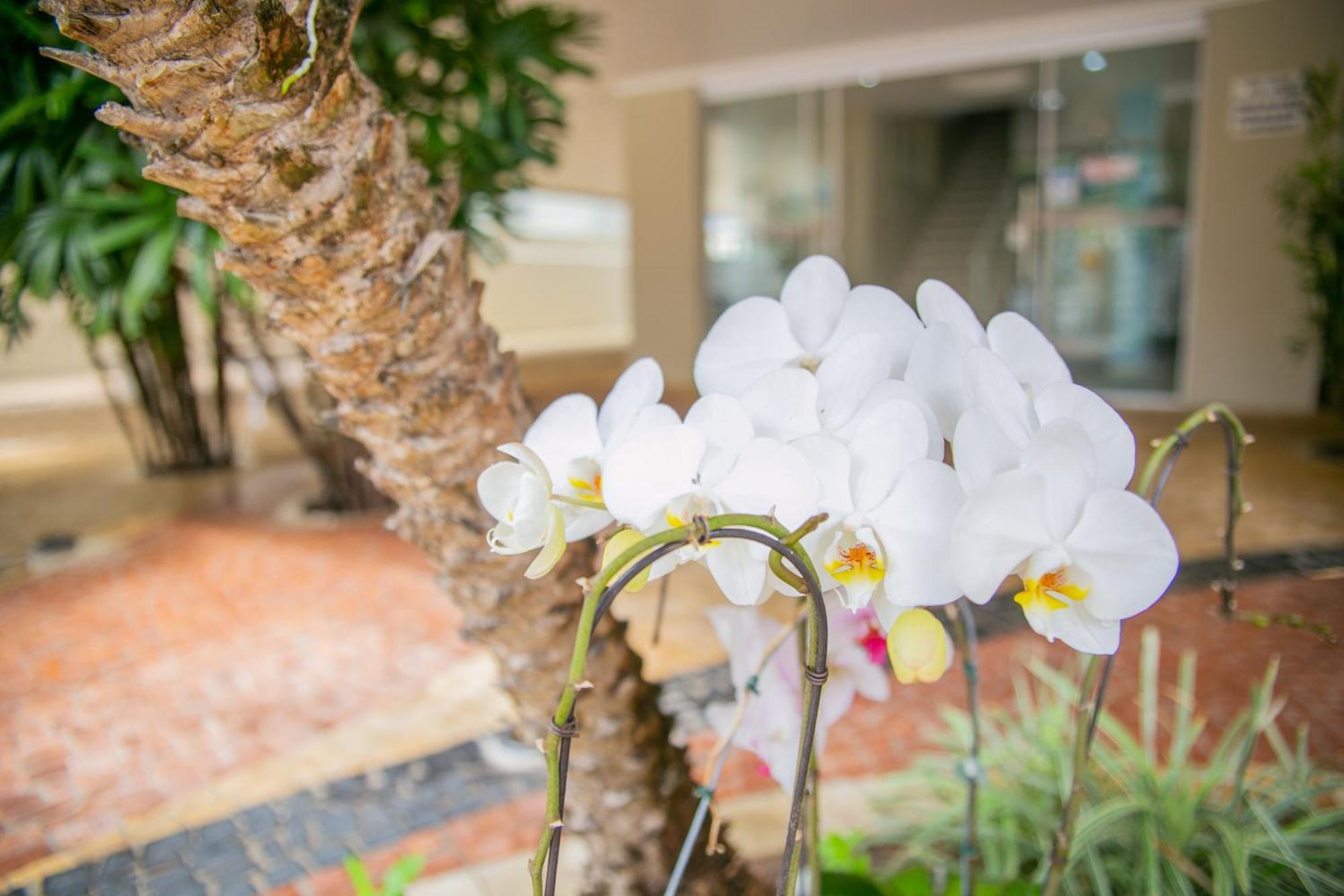 Paramar Praia Grande ウバトゥバ エクステリア 写真
